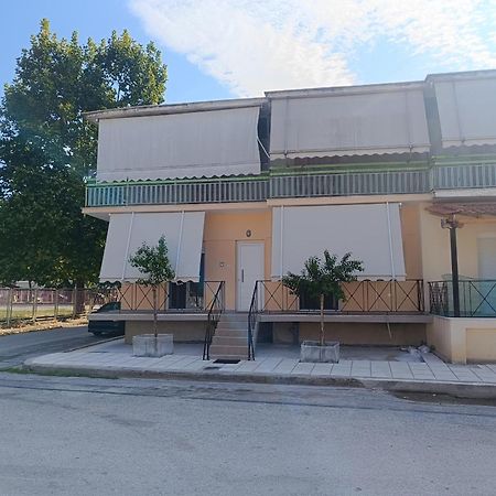 Panos House - High Luxury Apartment Trikala  Bagian luar foto