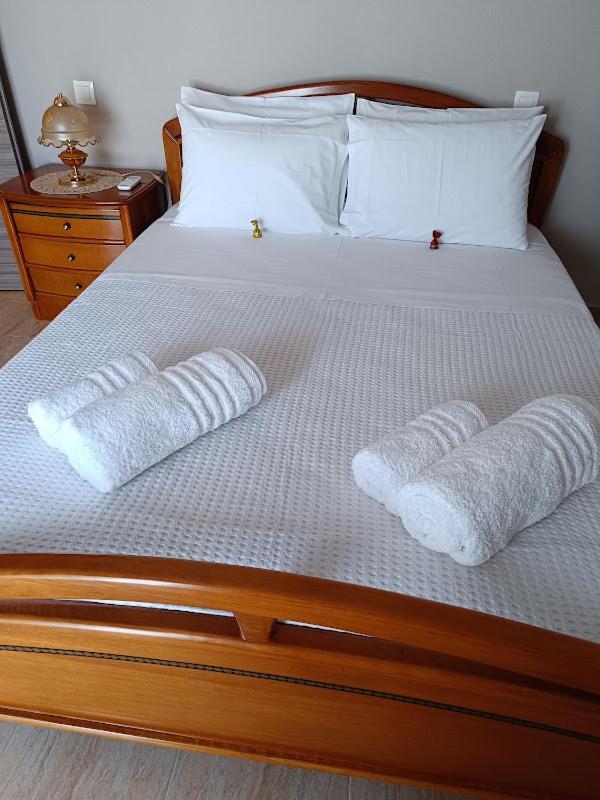 Panos House - High Luxury Apartment Trikala  Bagian luar foto