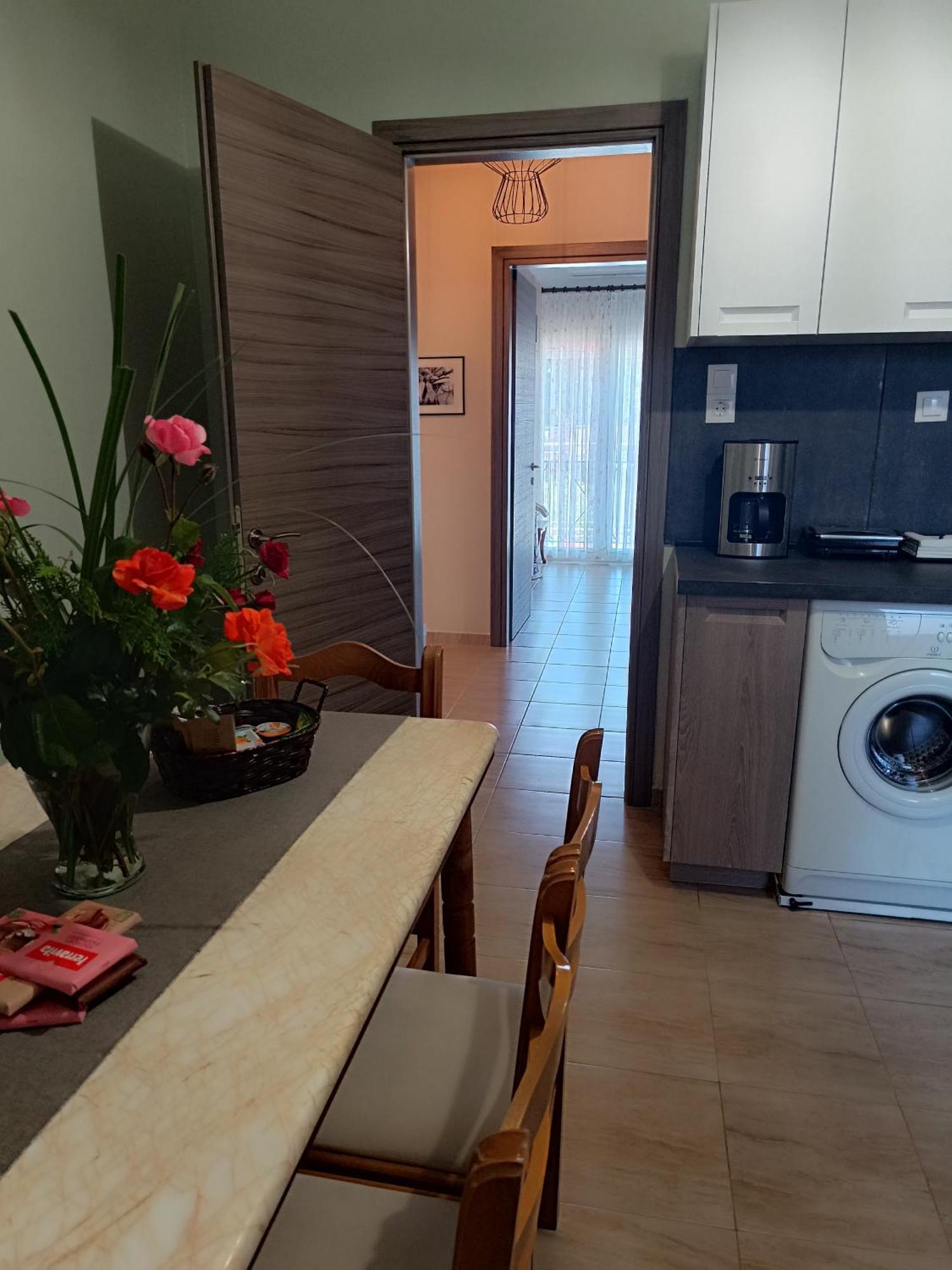 Panos House - High Luxury Apartment Trikala  Bagian luar foto